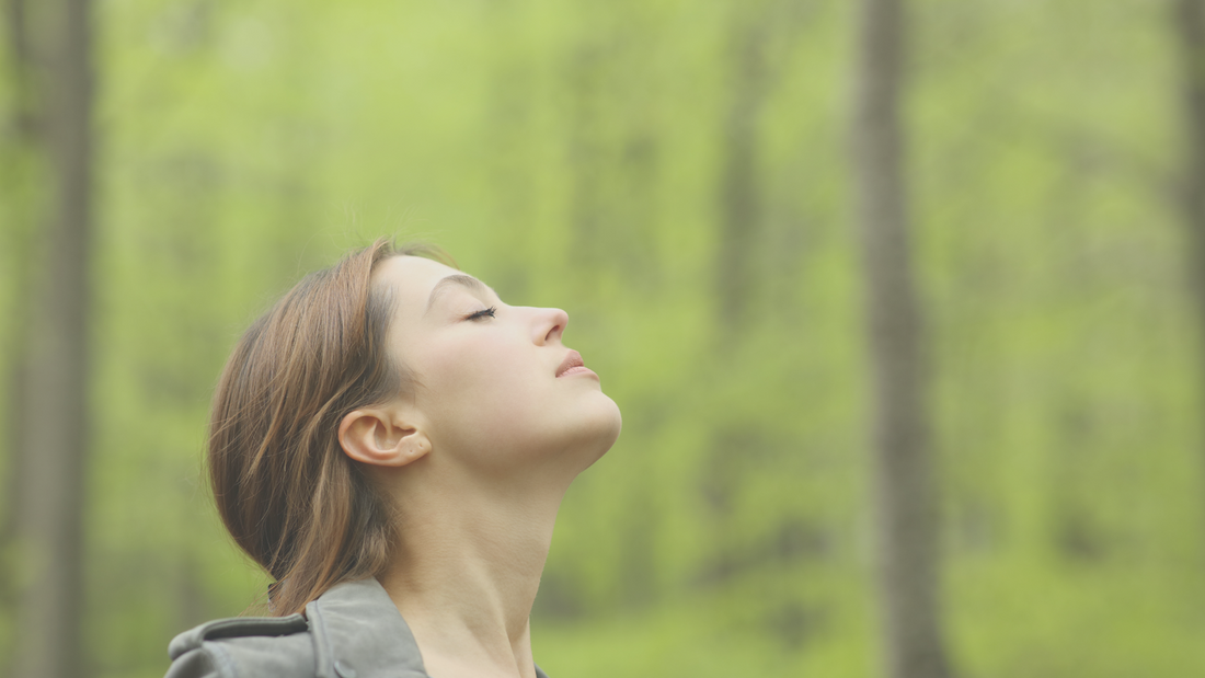 Schwarzkümmelöl bei Heuschnupfen und Pollenallergie: So lindert es Ihre Beschwerden