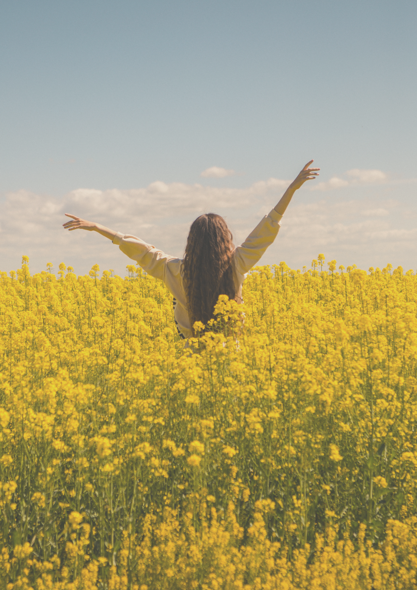 ALLERVIT Versprechen