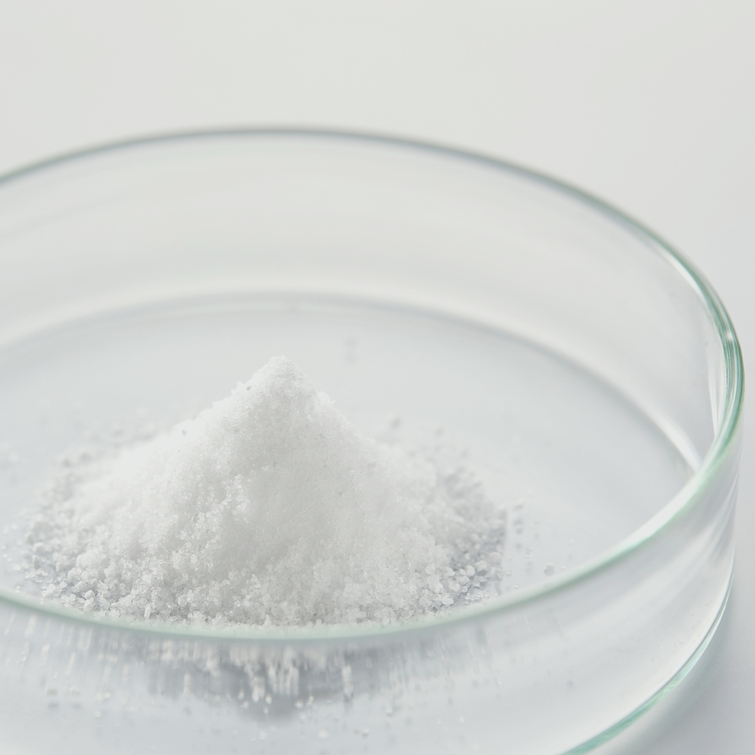 Lacticaseibacillus_paracasei