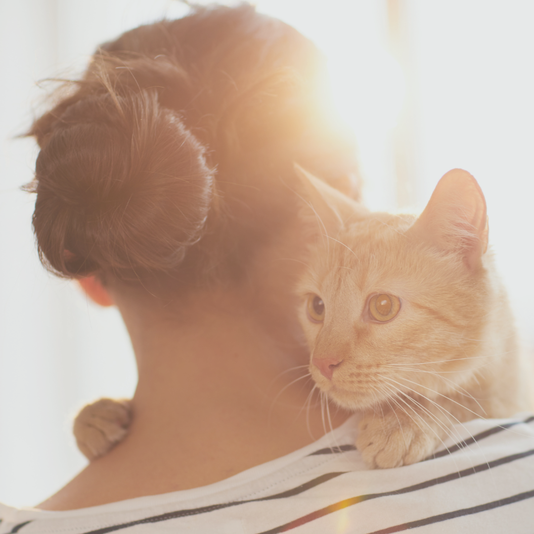 Tierhaarallergie Linderung Symptome