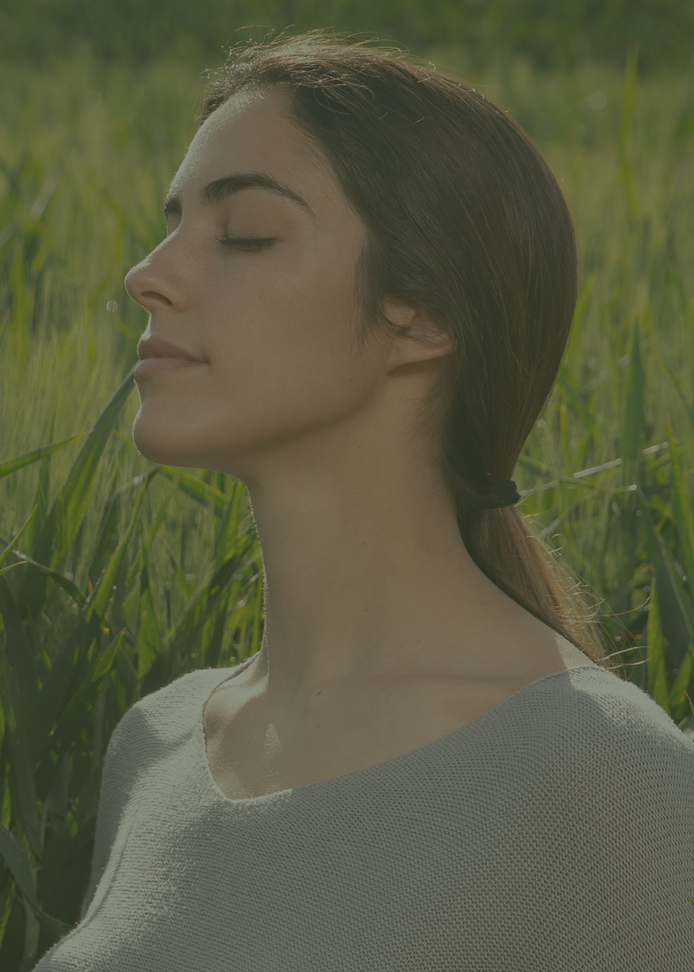 DER ALLERVIT UNTERSCHIED